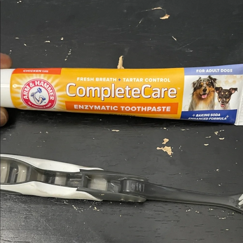 Arm & Hammer CompleteCare Enzymatic Toothpaste for Dogs - Orange